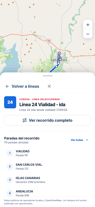 Detalle de la Línea 24 Vialidad en CODESA Rutas